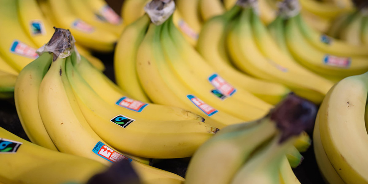 Mercato Fairtrade: nel 2023 le banane al primo posto